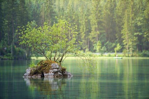 Retreat to Hotels Nestled in Untouched Wilderness